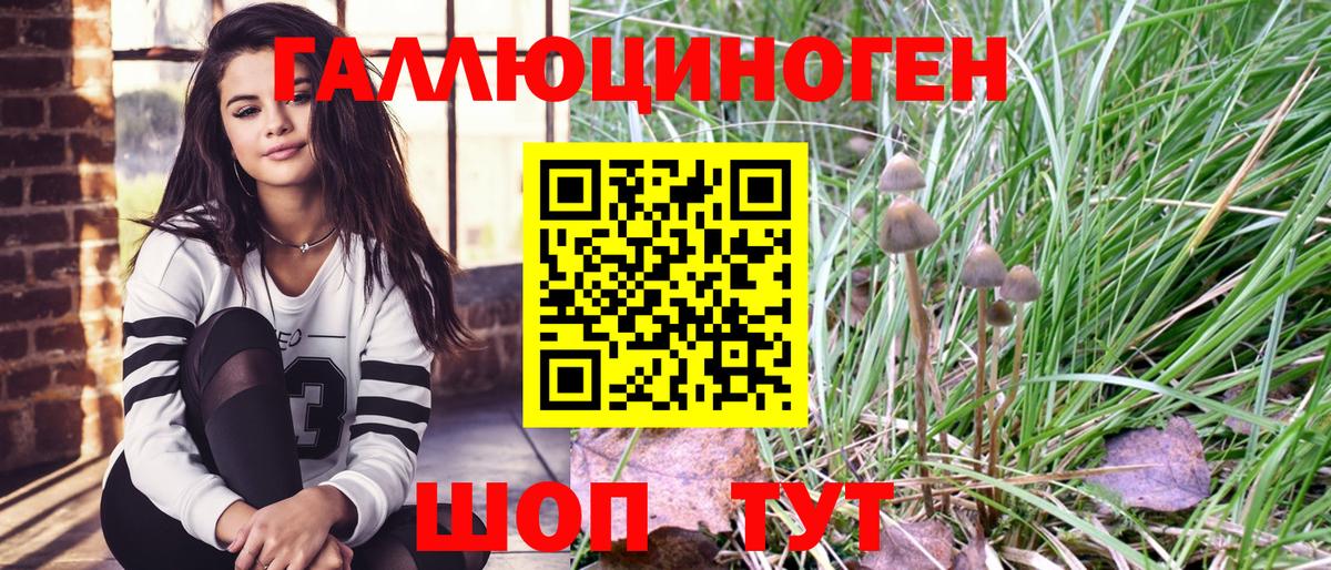 Псилоцибиновые грибы GOLDEN TEACHER  где найти   Димитровград  Вход с VPN 
